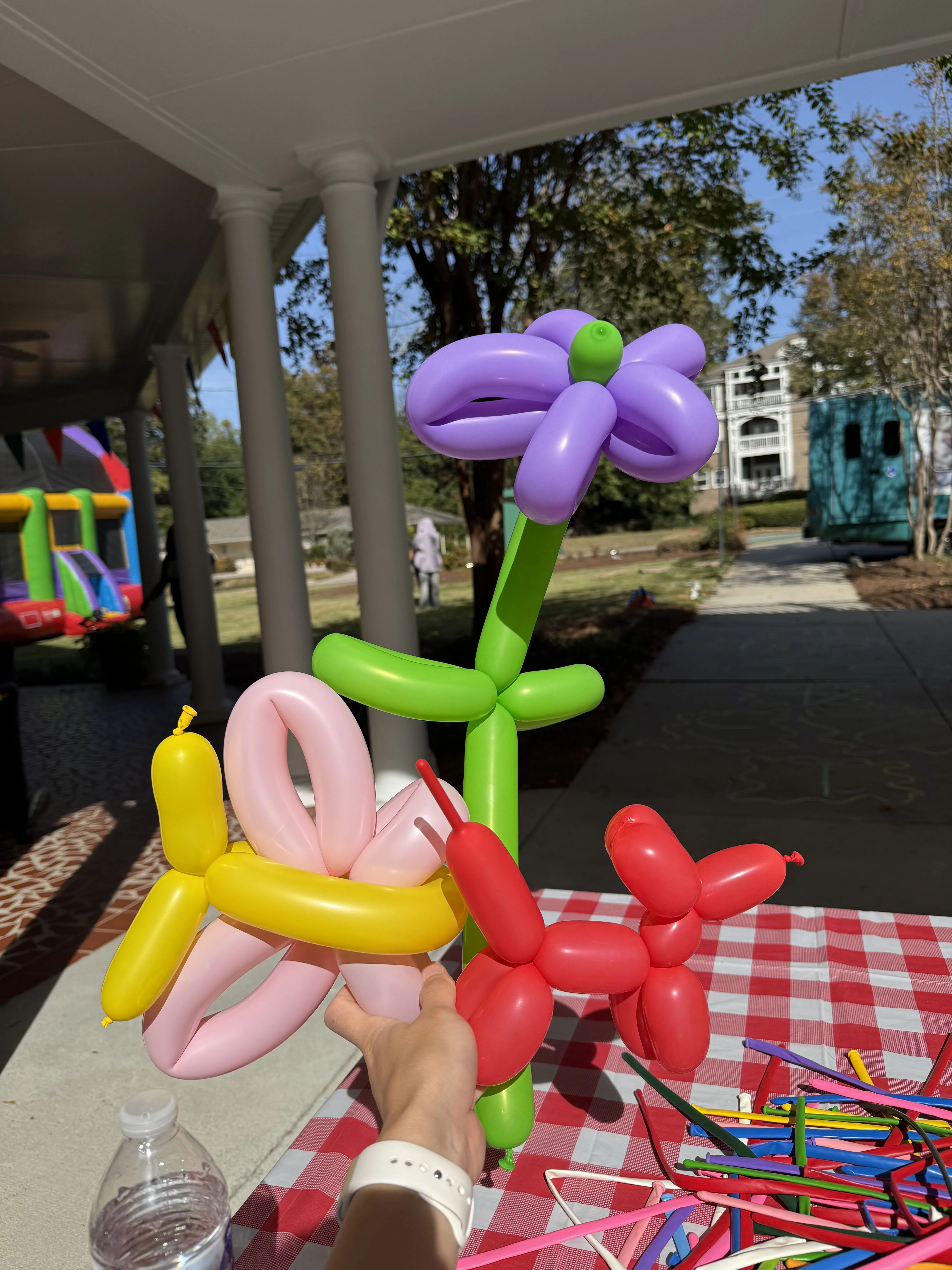 Balloon Art